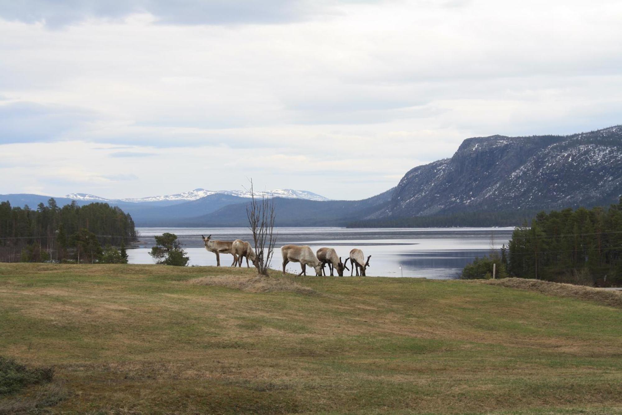 Arrenjarka Mountain Lodge Kvikkjokk Esterno foto