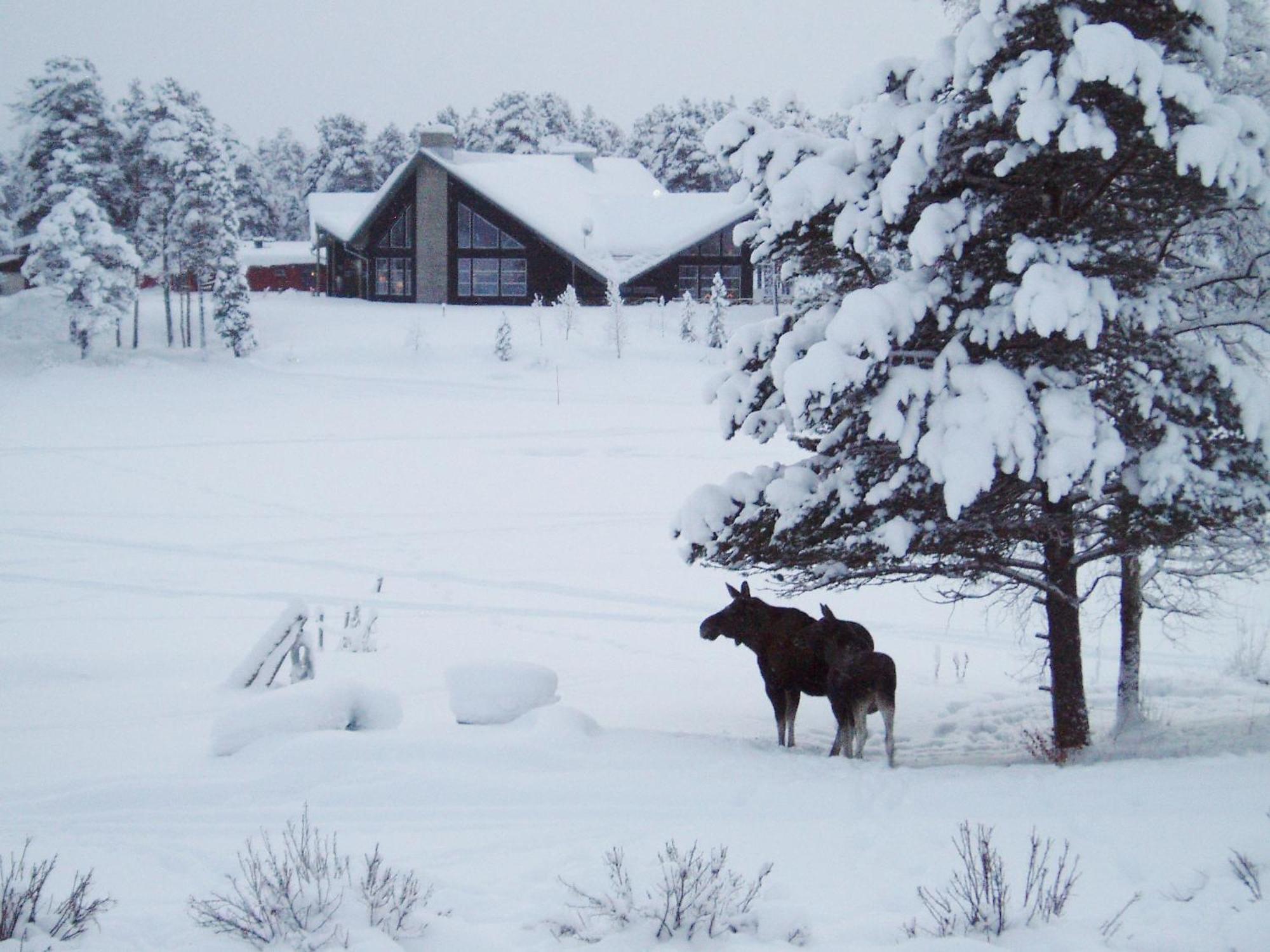 Arrenjarka Mountain Lodge Kvikkjokk Esterno foto